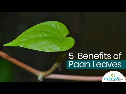 Video: What Are The Benefits And Side Effects Of Betel Leaves?