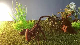 Hiya XENOMORPH stop Motion test