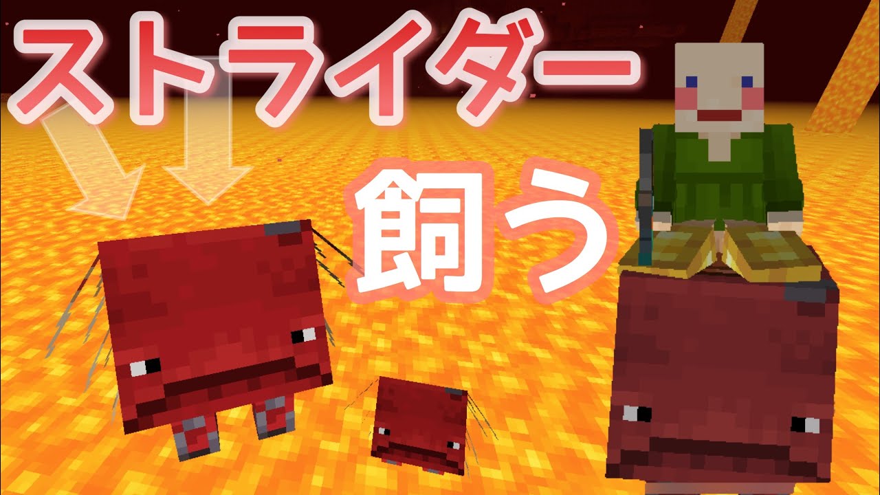 マイクラ ストライダーを飼いたい 1からサバイバルpart43 ゆっくり実況 Youtube