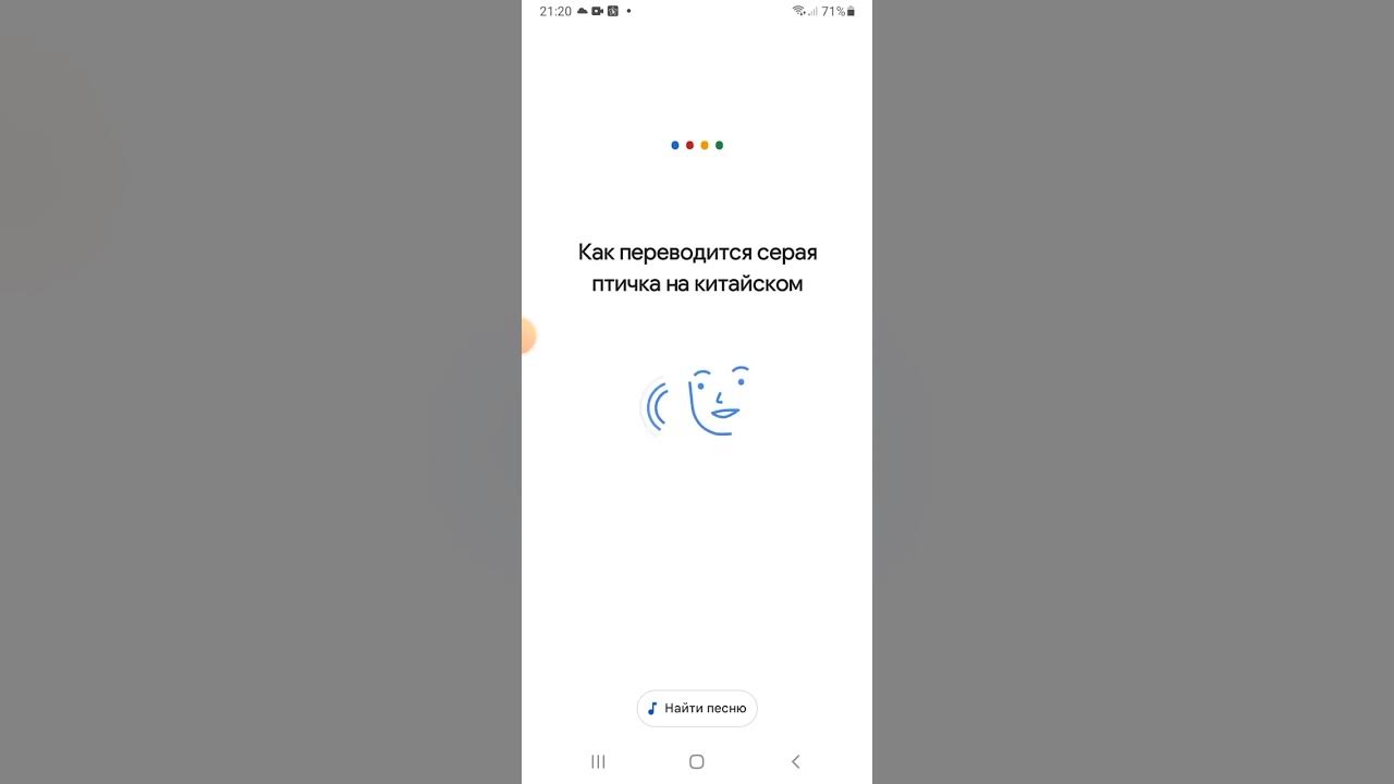 как переводиться серая птичка на китайском хуйня - YouTube