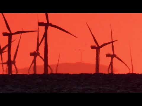 globe lines vector Flat Earth Debate Background Stills #1