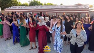 Beyaz Furkan Düğün Töreni - Naco Serhad Govend 2022 Acıkuyu Part-1