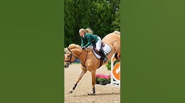Jumping an OXER. Don’t look at the end of the video. lol 😂 #horsegirl #ai #showjumping