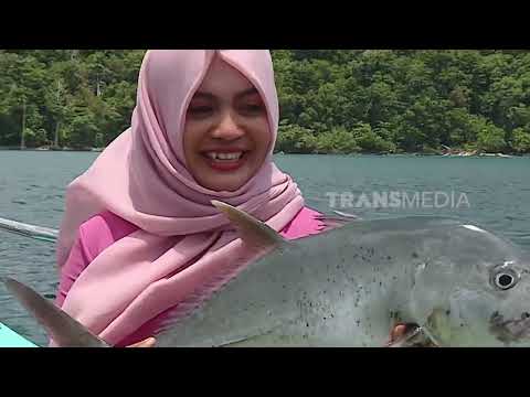 Menaklukkan Ikan Penghuni Pulau Rondo dan Lubuk Larangan | MANCING MANIA STRIKE BACK (20/06/26) P2
