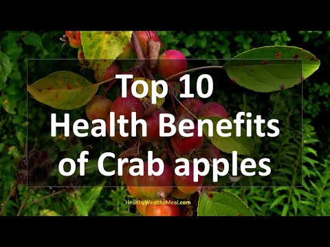 Top 10 Health Benefits of Crab apples | Healthy Wealthy Tips