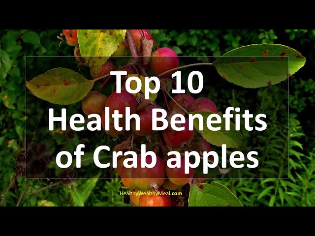 Crab Apples: Nutrition, Varieties, Benefits, And Risks
