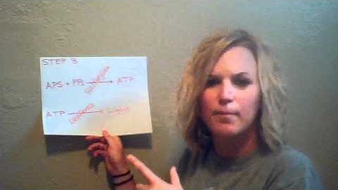 Pyrosequencing by Kenzie Daniels