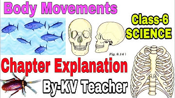 Page 73-76 / Body Movements: PART-3 / Class-6 SCIENCE NCERT Chapter 8 Hindi Explanation KV Teacher