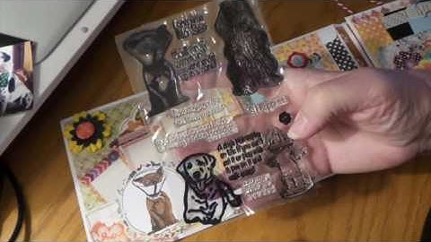 PROJECT SHARE: ENVELOPE FLIP BOOK BASIC GREY JUNE BUG