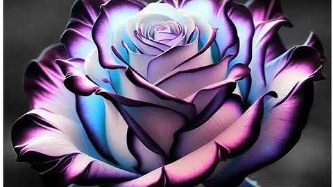 The Illusion of Separation 