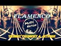 Timmy Trumpet & JETFIRE - Flamenco (feat. Rage) [Official Audio]