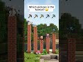 Which Minecraft Pickaxe is Faster? 😳 #shorts