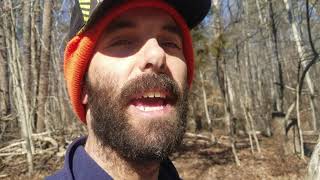 How long Cedar fence posts last