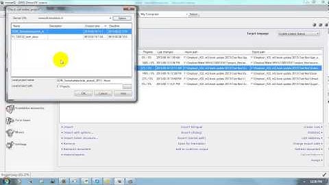 Checking out server projects with memoQ