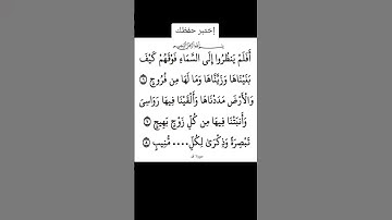 #القران #المصحف #تيك_توك #اكسبلور #تلاوات #الرحمن #duet #لايك #يصلك