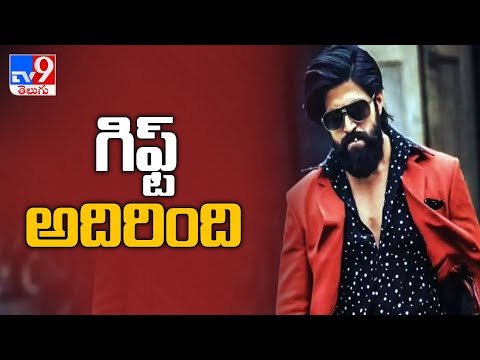 ‘KGF Chapter 2’ teaser to be released on January 8, Yash’s birthday - TV9