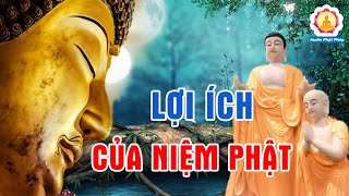 Kể Chuyện Đêm Khuya Lợi Ích Của Người Niệm Phật Giúp Cuộc Sống Hết Khổ Đau Hạnh Phúc Sẽ Đến #Mới