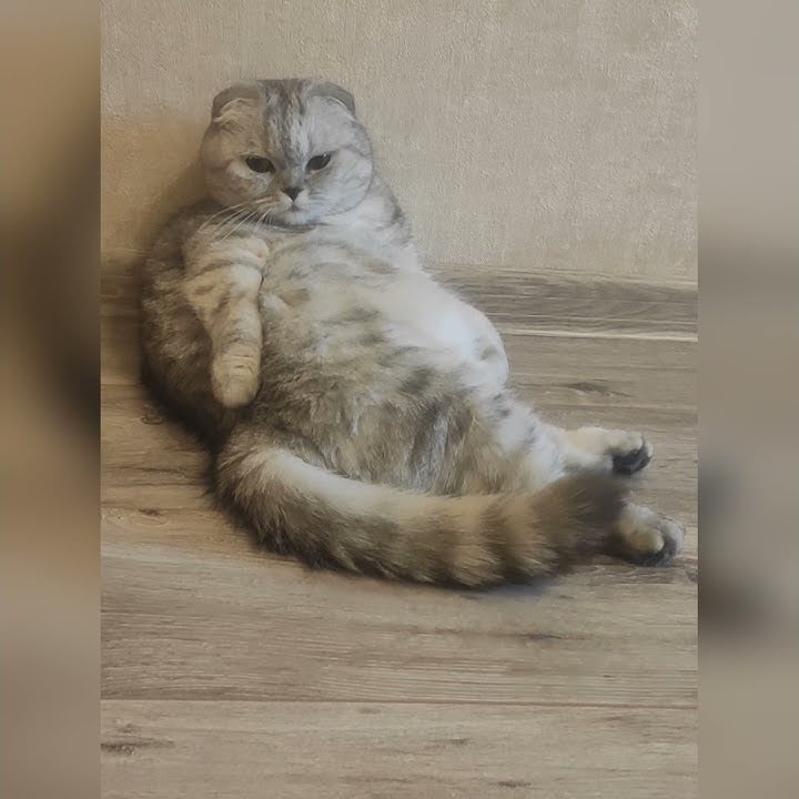 А вы не были на Таити? ))) - YouTube
