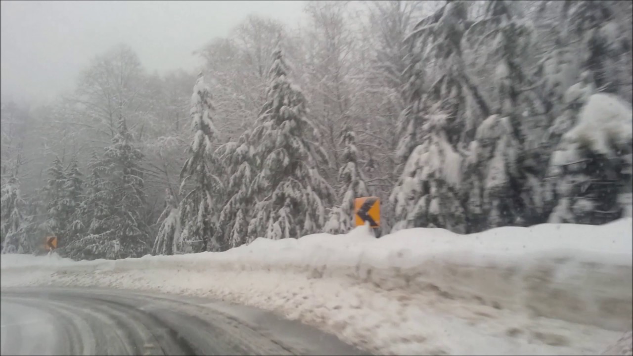 Cypress Mountain Drive