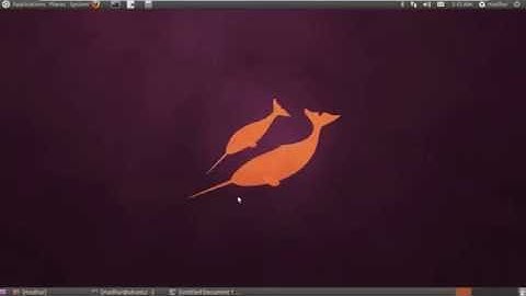 Shell Scripting Tutorial 19  Positional Parameters