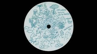Idealist - Winter Sun [idealistmusic 04]