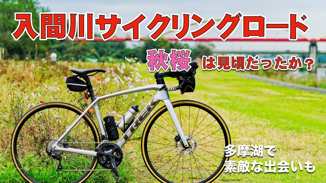 入間川サイクリングロード〜秋桜を探しに〜