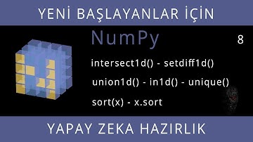 Yeni Başlayanlar İçin NumPy - Ders 8 - Grup İşlemleri, Sıralama