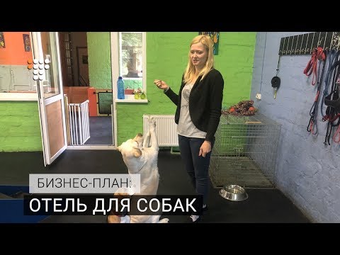 Бизнес-план: отель для собак