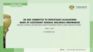 Ad Hoc Committee To Investigate Allegations Made By Lieutenant General Mkhwanazi, 1 October 2026