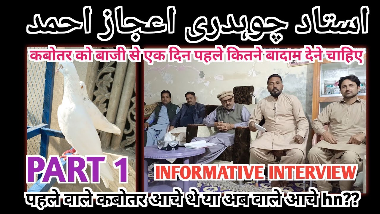 INTERVIEW PART 1||USTAD CH IJAZ AHMAD||पहले वाले कबोतर आचे थे या अब वाले आचे hn??