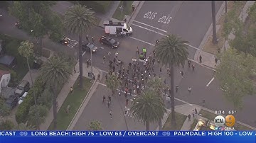Protest Shuts Down Beverly Hills Intersection, 24 Arrests Made