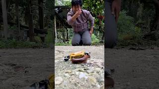 Move Aside First So I Can Open The Candy, Then The Giant Millipede Will Come Back