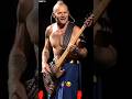 Do You Like Slap Bass? Flea Loves It! ❤️ #rhcp #redhotchilipeppers #live #shorts