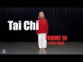 Tai chi dbutants  apprendre la forme 10 english and french description