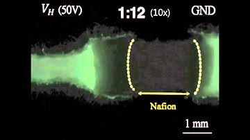 Biomicrofluidics : Ion concentration polarization on paper-based microfluidic devices...