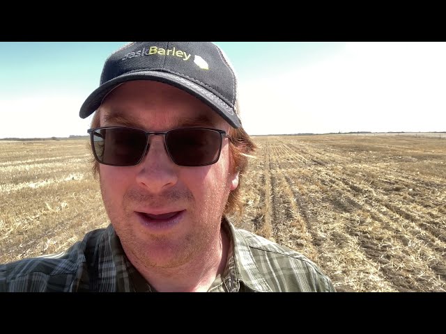 Seeding Barley Into Dry Soil?