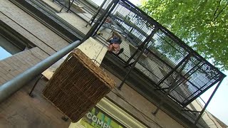 Want no-contact takeout food? This Capitol Hill restaurant uses a pulley  system! - KING 5 Evening 
