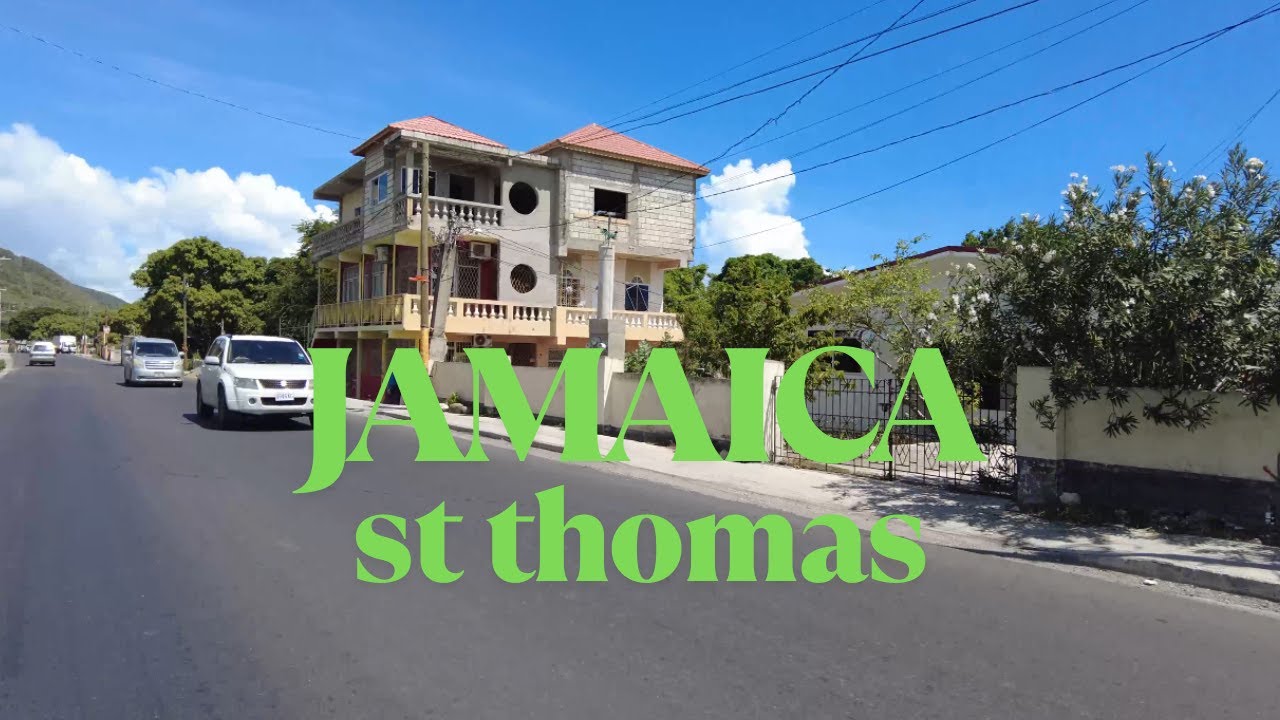 Мой друг впервые вернулся домой в Яллахс Сент-Томас на Ямайке после 22 лет в 4K.