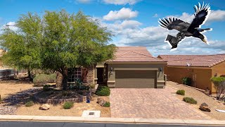 1561 Campfire Ln Mesquite NV