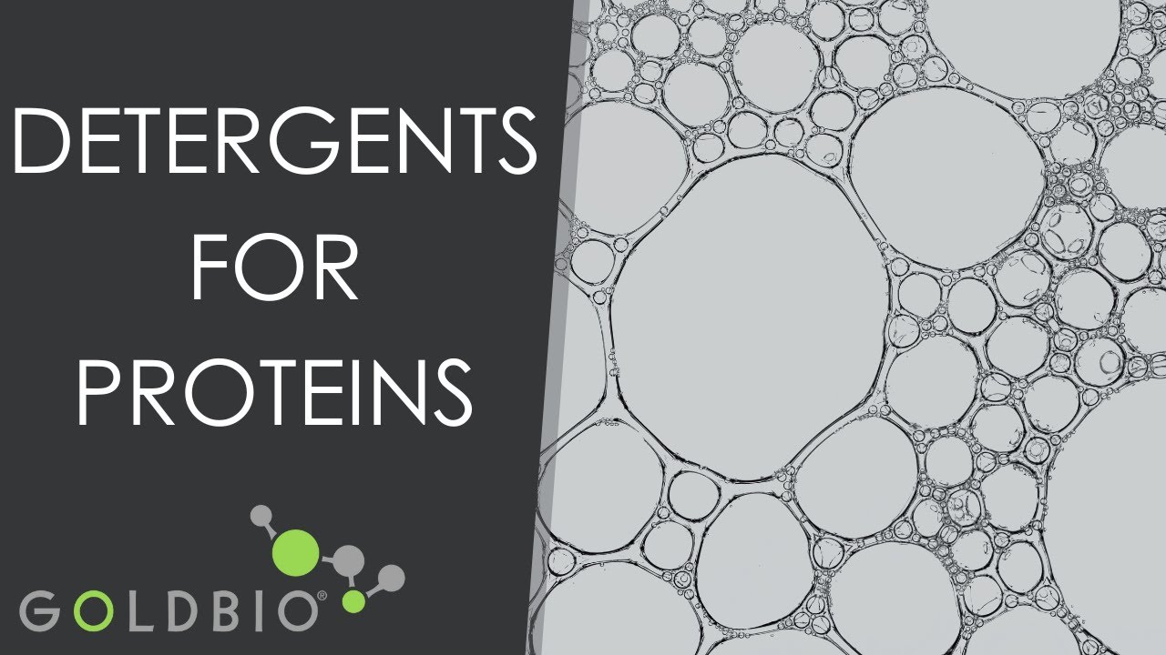 5 Detergents for Cell Lysis/Protein Extraction: CHAPS, Chlorhexidine, Deoxycholic Acid & Digitonin