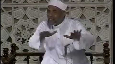 شرح معنى يكاد البرق يخطف أبصارهم في سورة البقرة مع الشيخ الشعراوي