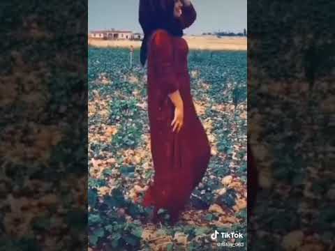 Dünya güzeli Arap kız