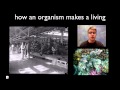 Ecological Niches and Their Roles in Environmental Balance