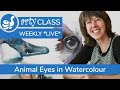 Arty Class - Animal Eyes in Watercolour