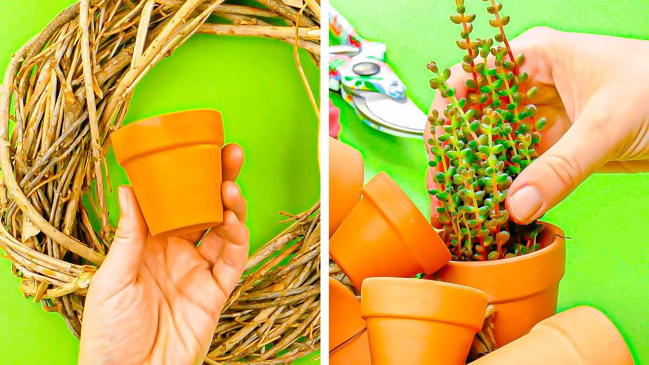 10 originelle Deko-Ideen mit Pflanzen 🪴 Sukkulenten richtig in Szene setzen