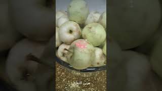 طريقه عمل مربى التفاح