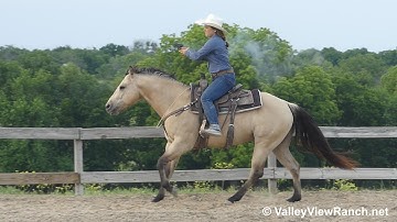 Two Fingers Patron - bridleless mounted shooting! - ValleyViewRanch.net