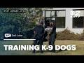 Newest K-9 for West Jordan police department