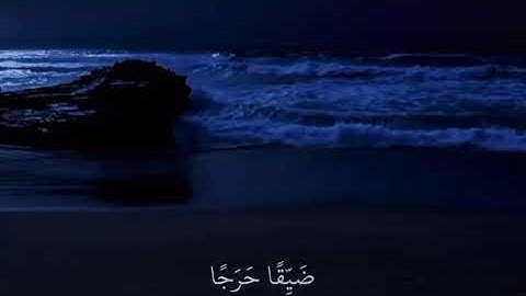 فَمَنْ يُرِدِ اللَّهُ أَنْ يَهدِيَهُ يَشْرَحْ صَدْرَهُ لِلْإِسْلَامِ(سورة الأنعام –الآية 125)