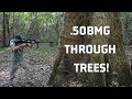 How Big of a Tree Does it Take to Stop a .50BMG?